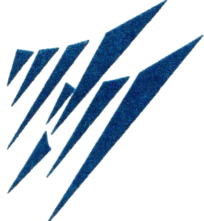 Partner 7